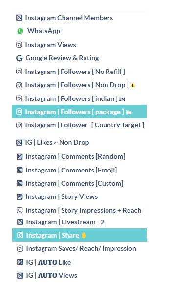 instagram services